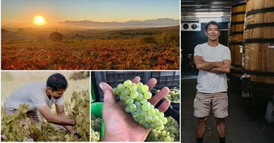 Cage Wine佐藤圭史氏が紐解く 南アフリカ・スワートランドのテロワールと産地の魅力